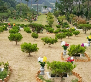 용인양지수목장 by 하늘나무
